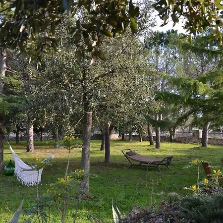 Apartment Ulivo Locorotondo